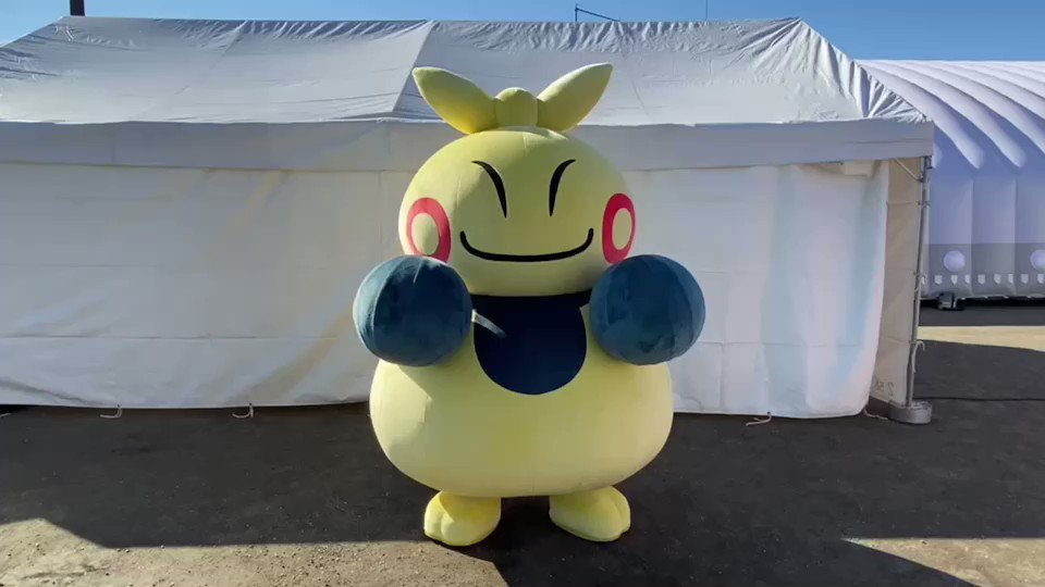Twitter 上的 ポケモンだいすきクラブ編集部 公式 マクノシタが初登場 こんじょうポケモン マクノシタ が 第2回わんぱく相撲女子全国大会の応援にあらわれた T Co Npvea8d7uy T Co Rmbrq7gf1g Twitter