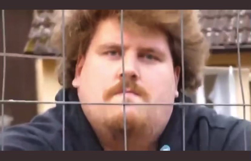 FUXdvSUcz5kR-DAH.jpg