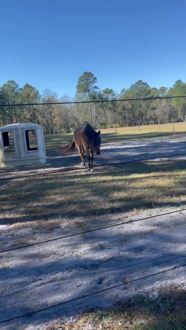 A little bit of sunshine ☀️ https://t.co/k0R7okrjLM