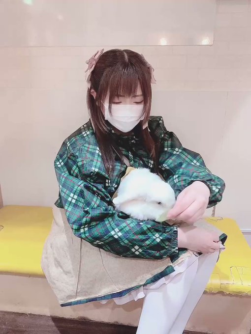 すみれおじさん