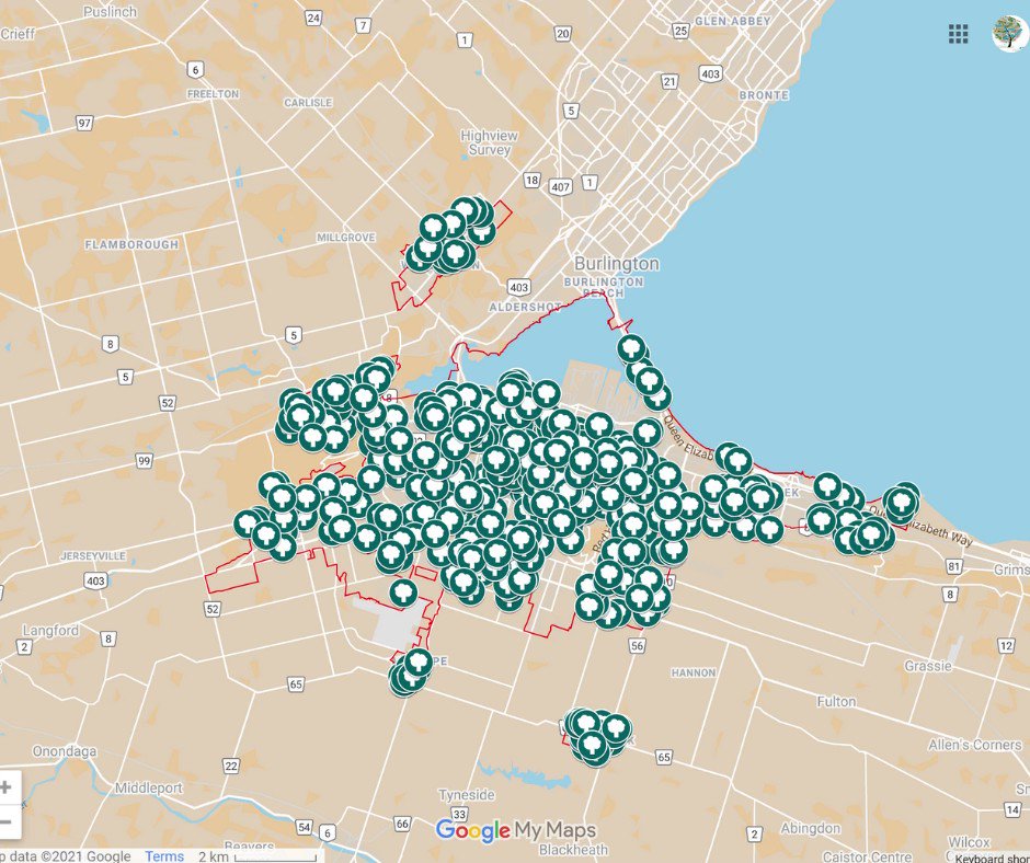 Mobi Bike Station Map Hamilton Naturalists' Club On Twitter: "Way To Go #Hamont 🌳 This Is A  Tremendous #Treecanopy Increase In Just 1 Year. Let's Keep It Going! Trees  Please Is A Joint Project Of Hamilton