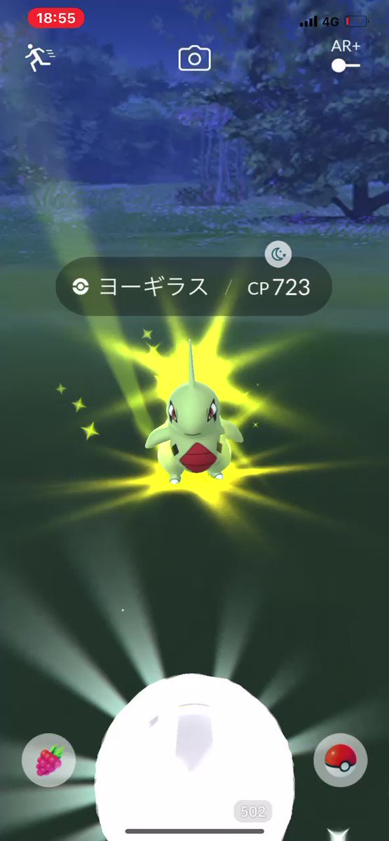 ポケモンgo ヨーギラスの入手方法 能力 技まとめ 攻略大百科