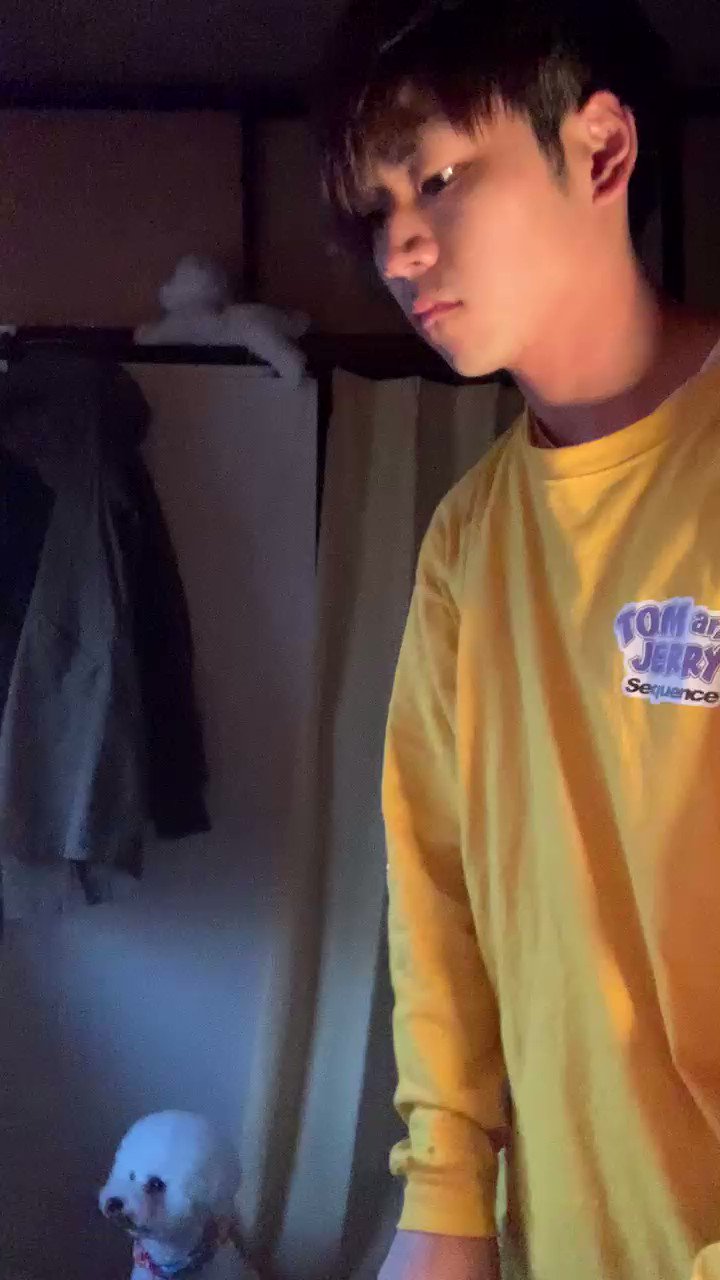 白身魚 コンビ共同 Siromi Fish Twitter
