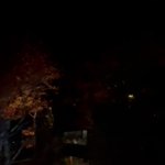 ツイートに含まれる画像