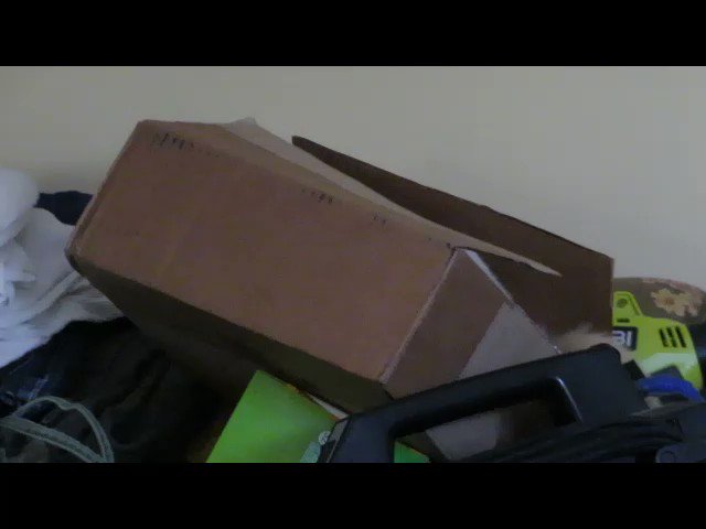 RT @TugboatPhil: Jenny in a Box

#TbPCat https://t.co/eoZ9qp1I1W