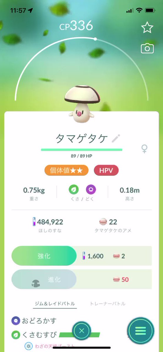 ポケモンgo タマゲタケの入手方法 能力 技まとめ 攻略大百科