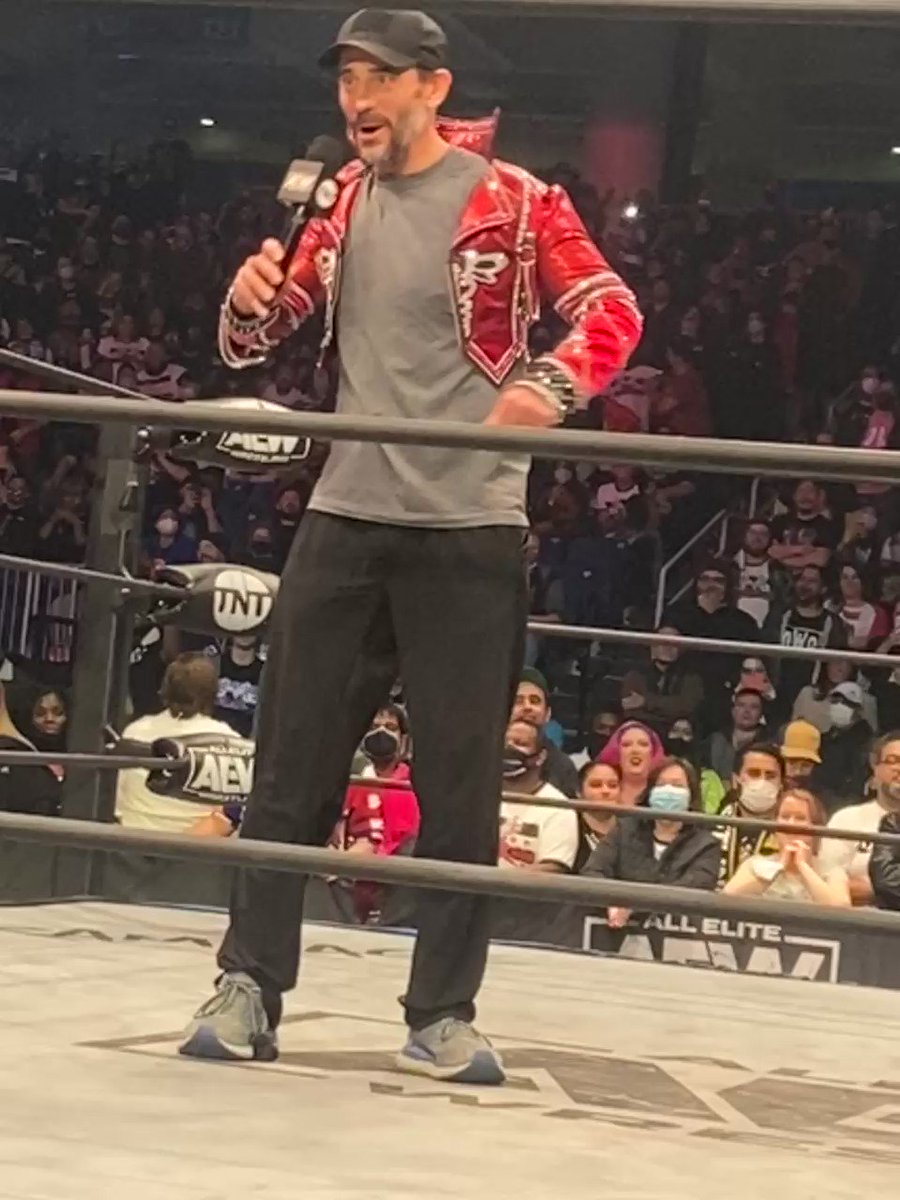 @stephaniemchase's photo on CM Punk