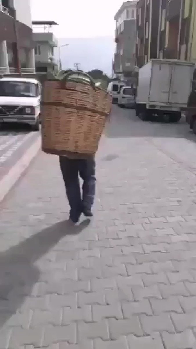 8pgnfqxxocdykm 8pgnfqxxocdykm