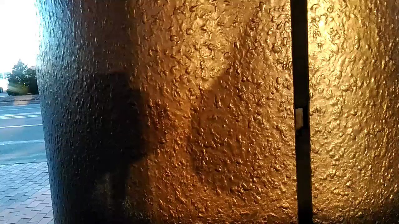 t*1様 ラブバード 田中テルアキ ブローチセット 木彫り 鳥 Lovepedal