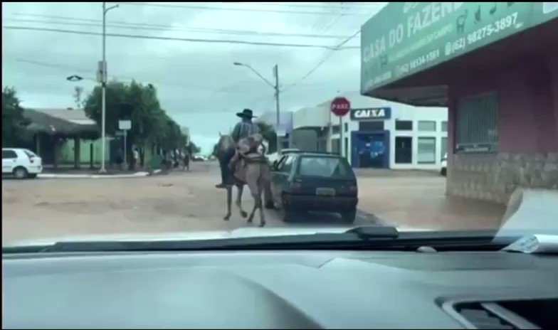NE10 Interior on Twitter: "Um vídeo em que mostra um cachorro passeando a cavalo junto com o tutor em Alto Horizonte, Goiás, viralizou nas redes sociais 🐶 https://t.co/ou9F7rTE9J" / Twitter