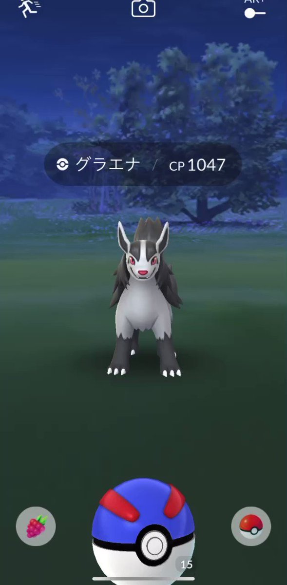 グラエナ Hashtag Posts And Instagram Pictures And Videos Offerdos Com