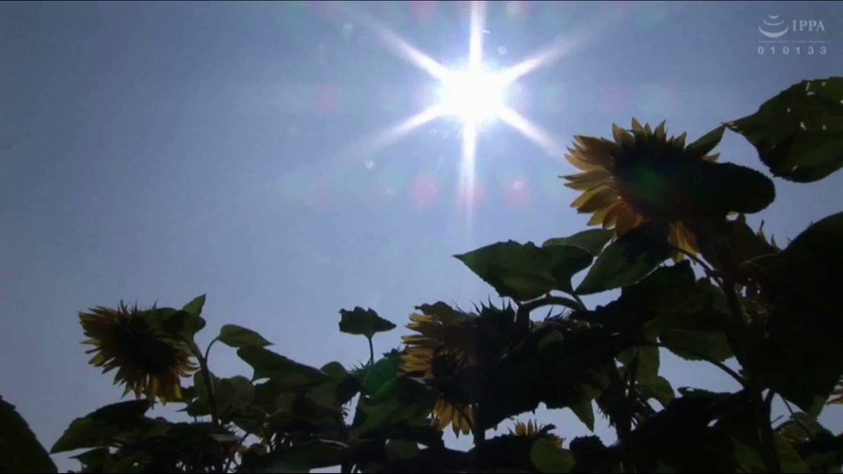 Video oleh @lesbian_mv