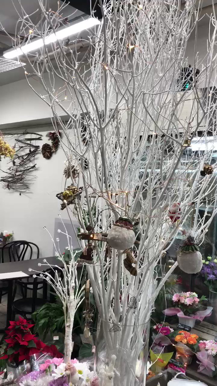 Cafeジューセン Cafe8419 Twitter