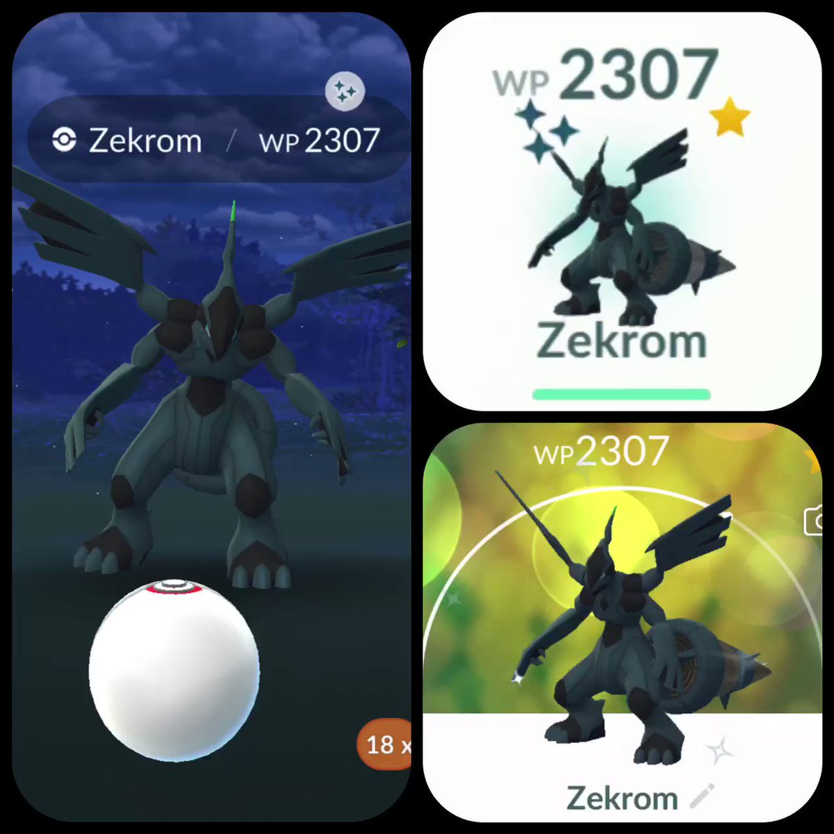 Shiny Zekrom - Pokemon Go