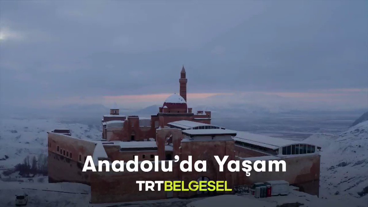 trt belgesel trtbelgesel twitter analytics trendsmap