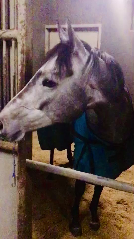 ネージュダムールやん😳

いいお母さんになっておくれ😭 