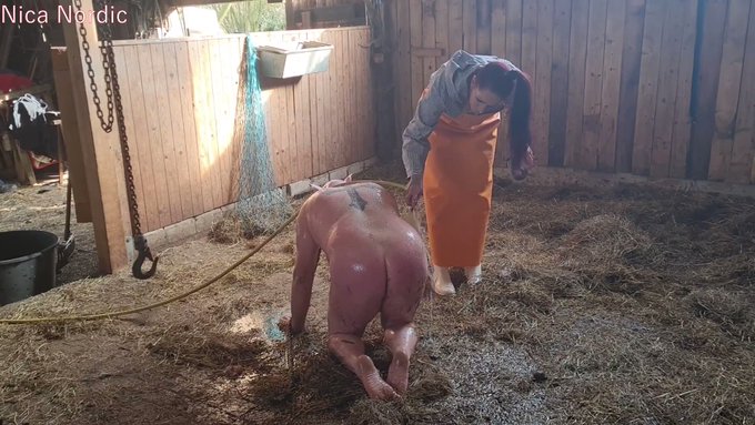 Pigplay domina