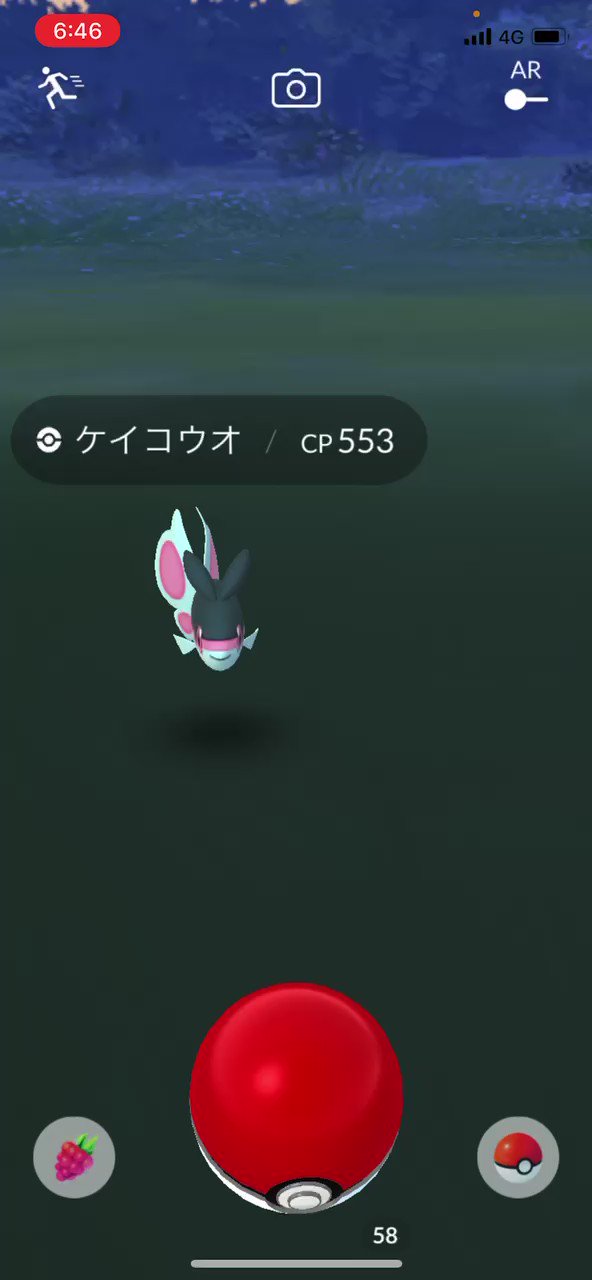 ケイコウオ Twitter Search Twitter