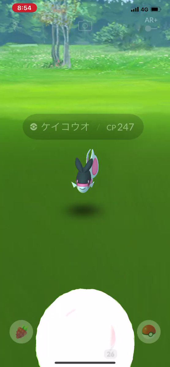 ポケモンgo ケイコウオの入手方法 能力 技まとめ 攻略大百科