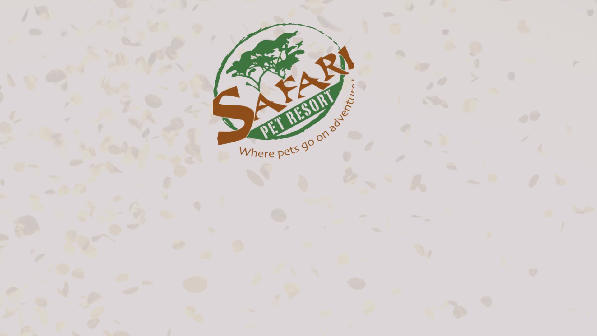 safari pet resort prices
