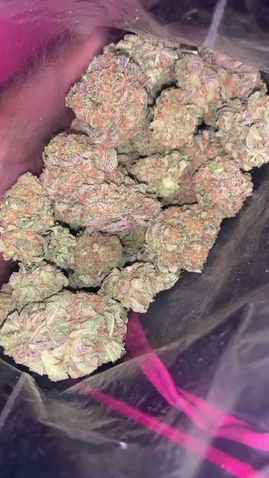 TRAPPER OF THE YEAR⛽️’s pics and videos