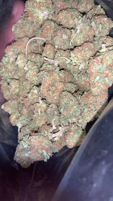 TRAPPER OF THE YEAR⛽️’s pics and videos