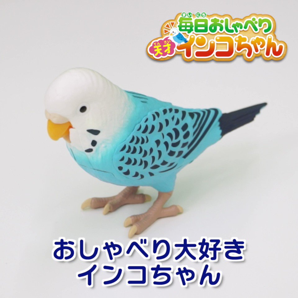 超目玉 インコちゃんのおもちゃ☆ 4組 - 通販 - www.dentistambala.com