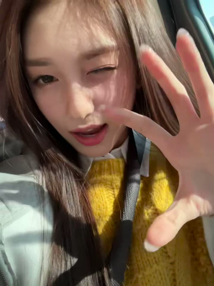 트위터, twitter - 딸플릭스