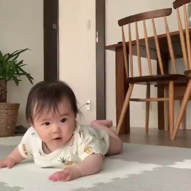 تويتر アカチャンホンポ おかげさまで90周年 على تويتر 飛行機の日 毎年この日に赤ちゃんのムービーをご紹介できるのが楽しみなアカチャンホンポです うつ伏せで過ごせるようになった赤ちゃんが前に進んでいるつもりのような飛行機ポーズ 何度