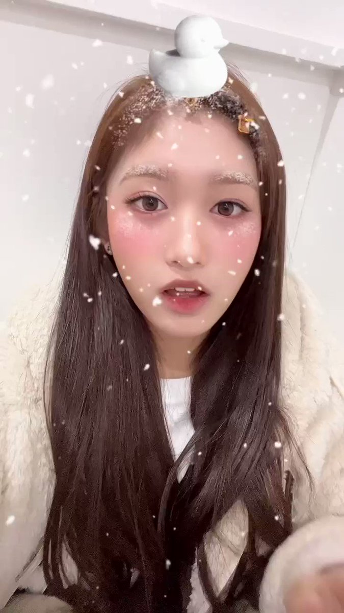 트위터, twitter - 딸플릭스