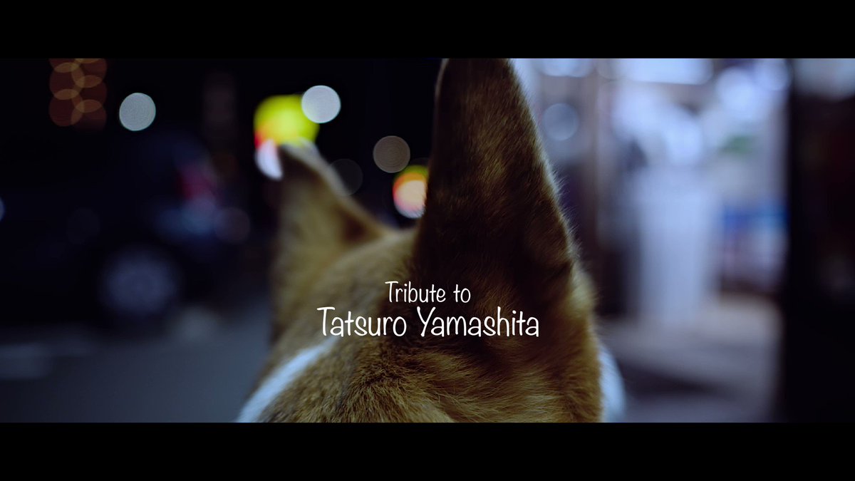 元保護犬ぽんた Pontatherescued Twitter 元保護犬ぽんた Pontatherescued Twitter