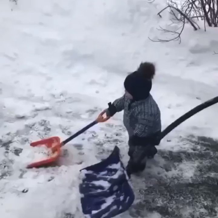 RT @buitengebieden_: Little boy helping his daddy.. https://t.co/ouNE326HGy