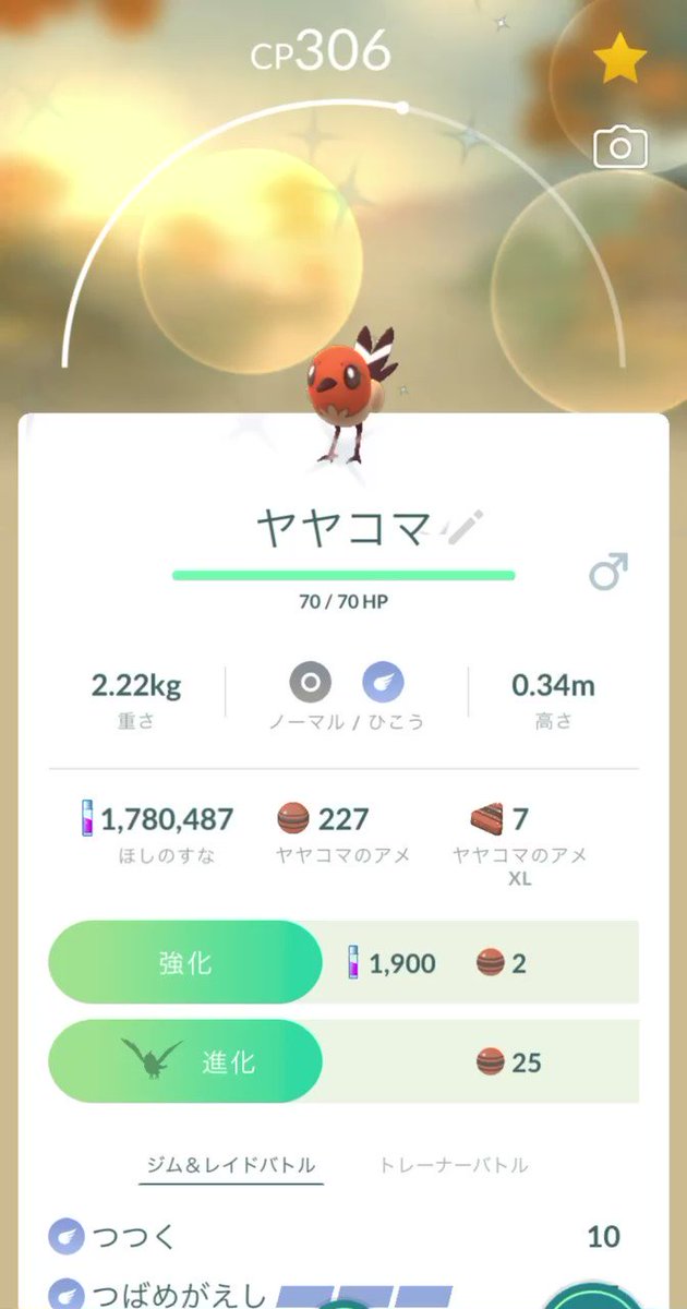 ポケモンgo ヒノヤコマの色違い 入手方法と実装状況 攻略大百科 ポケモンgo ヒノヤコマの色違い 入手方法と実装状況 攻略大百科