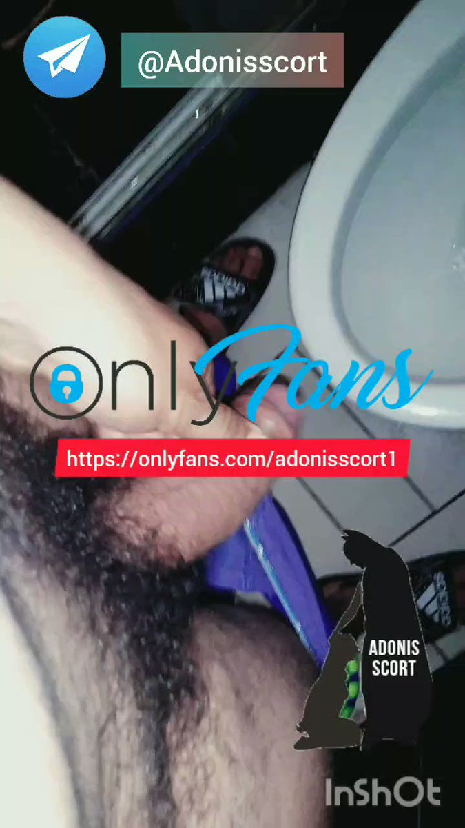 Adonisscort’s pics and videos