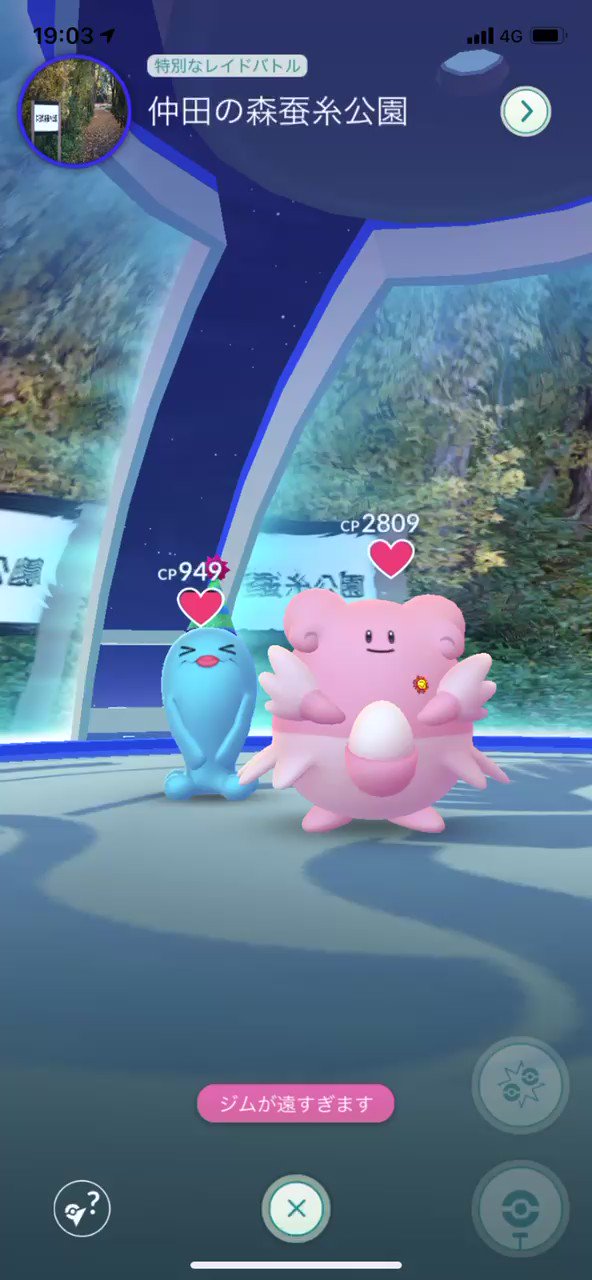 Pokemon Ruby Destiny Reign Of Legends Ruby Reign Twitter