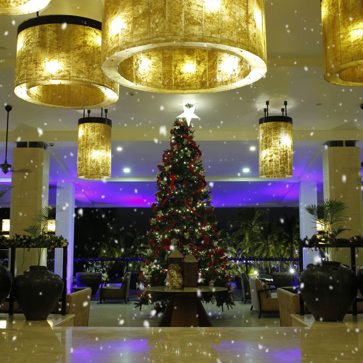 Tis the season to celebrate

Ringing in the festive season by organizing the traditional Tree Lighting Ceremony at Holiday Inn Resort Goa

To know more, call at +91.832.287.0000 or visit https://t.co/Aq2qjMFj3g

#holidayinnresortgoa #goaexperience #wonderfulgoa https://t.co/bozlXqodI0