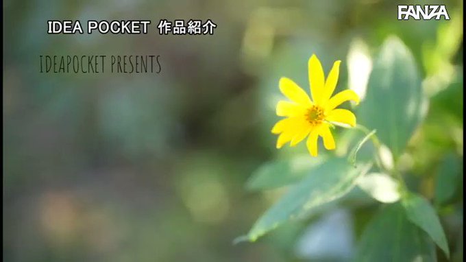 FIRST IMPRESSION 152 笑顔が一番可愛い美巨乳お姉さん  #宮西ひかる 

配信️👉 https://t.co/LVj2IrpGta https://t.co/iE42hAPpxu