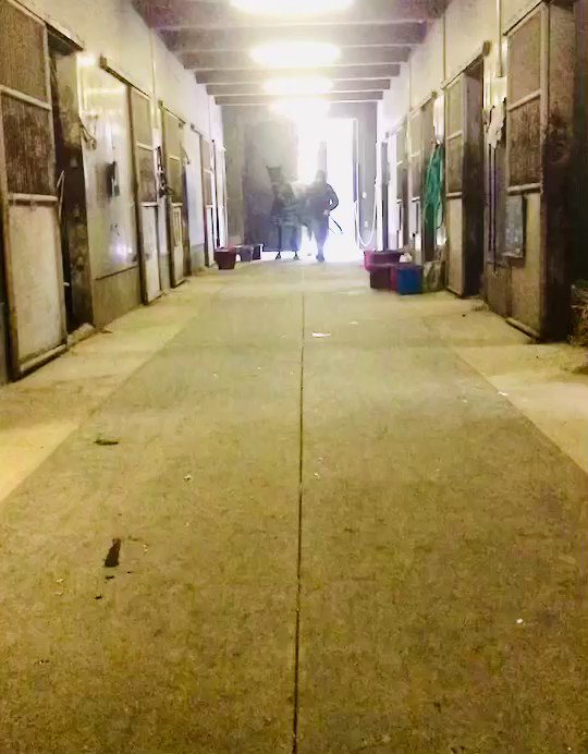 ＃ディオブルネッタ 