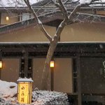 ツイートに含まれる画像