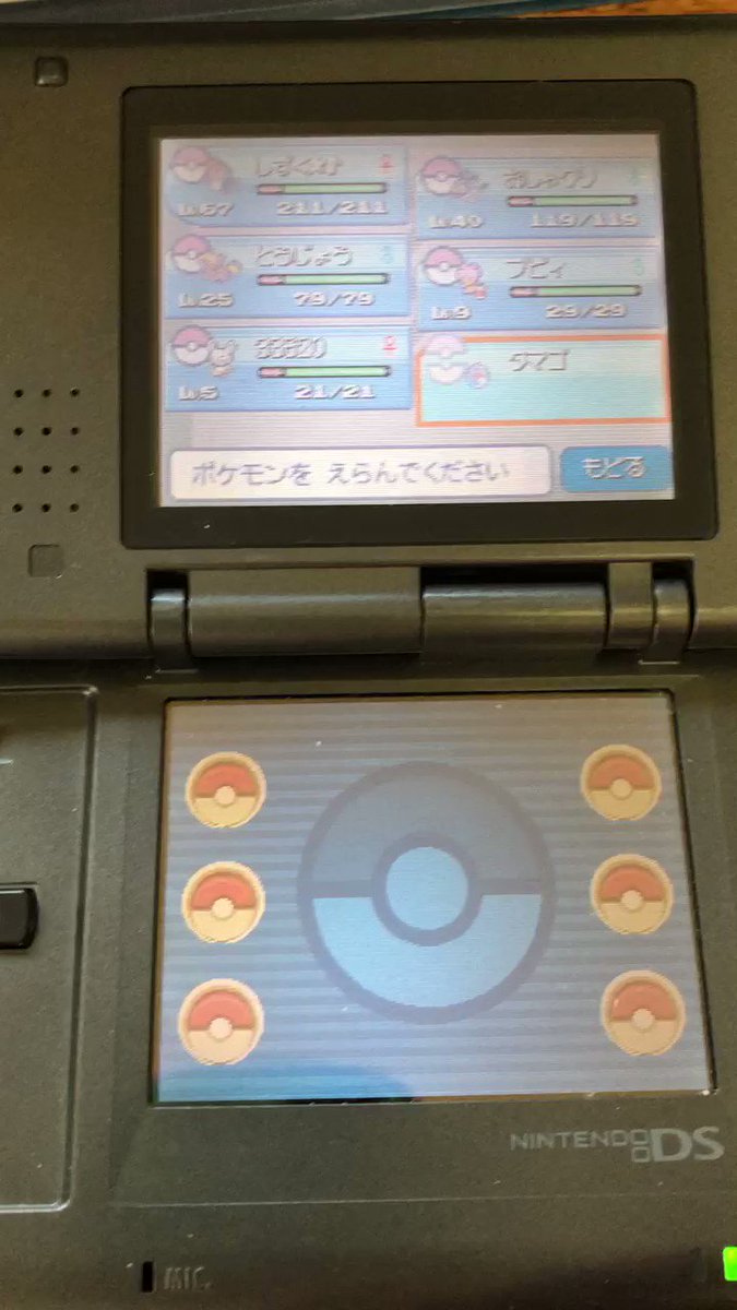 ダイパリメイク パルパークで発生するイベントまとめ ポケモンbdsp 攻略大百科 ダイパリメイク パルパークで発生するイベントまとめ ポケモンbdsp 攻略大百科