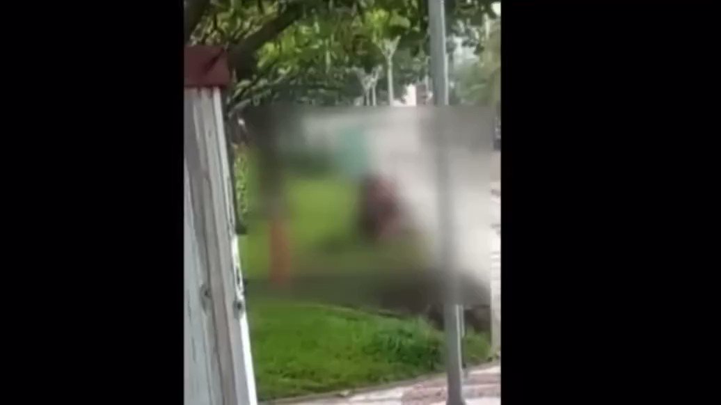 Morena gostosa da buceta lisinha Video porno travestis com mulheres