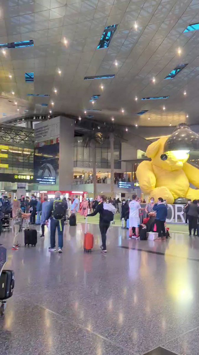 ドーハのハマド国際空港のテディベア🧸 KAWSのオブジェもあって小洒落てる☺️