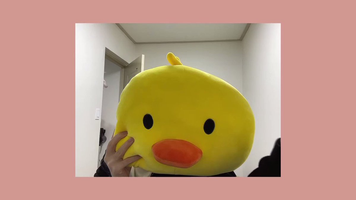 트위터, twitter - 딸플릭스