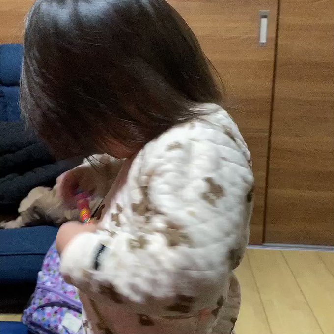 ノアのTwitter動画1