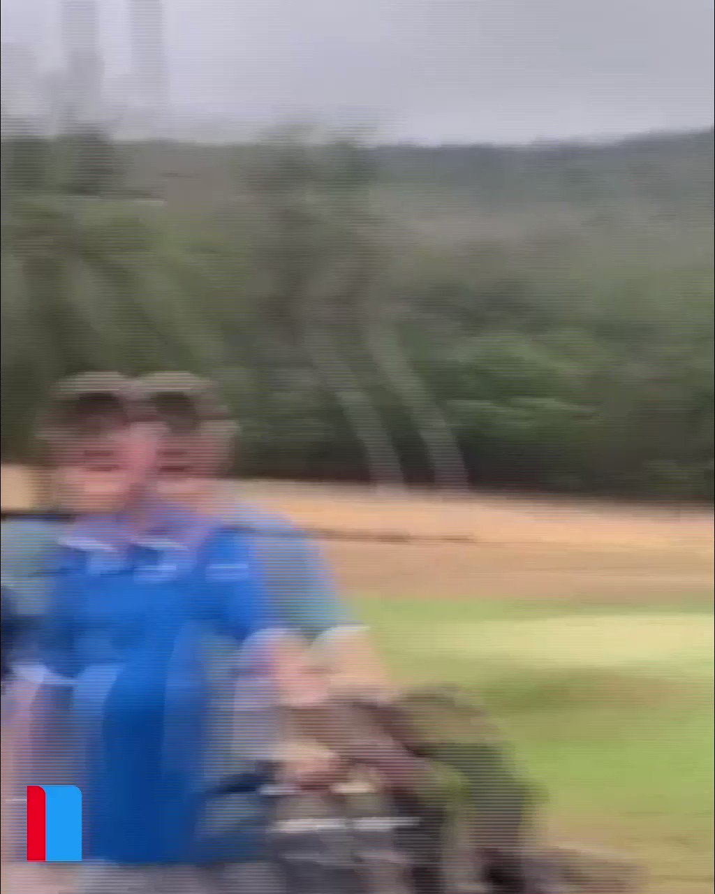 9News Australia on Twitter "How's this for a handicap 🦀🦀🦀 A group of