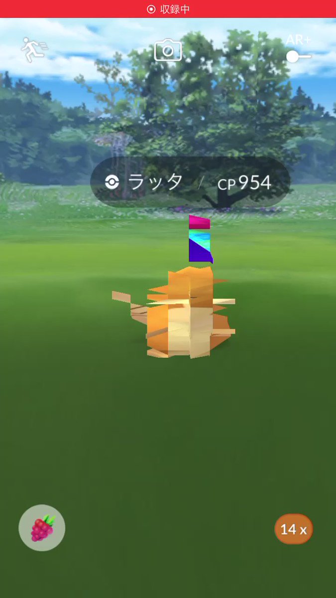 ポケモンgo ラッタの入手方法 能力 技まとめ 攻略大百科 ポケモンgo ラッタの入手方法 能力 技まとめ 攻略大百科