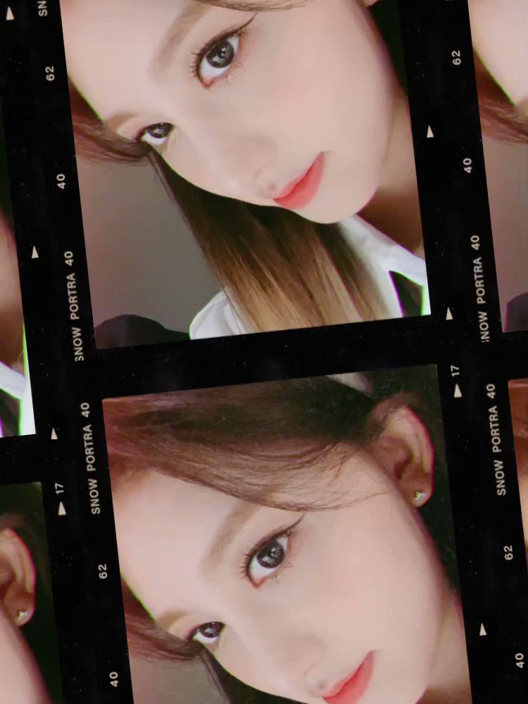 트위터, twitter - 딸플릭스
