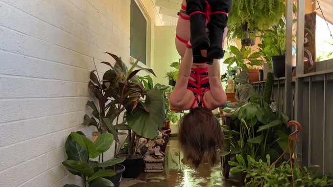 A short clip of a video I just posted on my fan site where you can see the entire video. #Video #Fans<a href="/tag/video"class="tags"><span>#video</span></a><a href="/tag/fans"class="tags"><span>#fans</span></a><a href="/tag/bondage"class="tags"><span>#bondage</span></a><a href="/tag/bdsmgirl"class="tags"><span>#bdsmgirl</span></a><a href="/tag/bdsmslavetraining"class="tags"><span>#bdsmslavetraining</span></a>