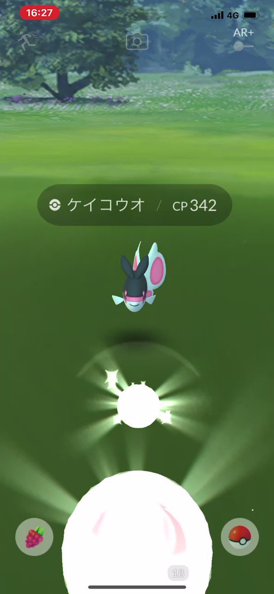 ポケモンgo ケイコウオの入手方法 能力 技まとめ 攻略大百科