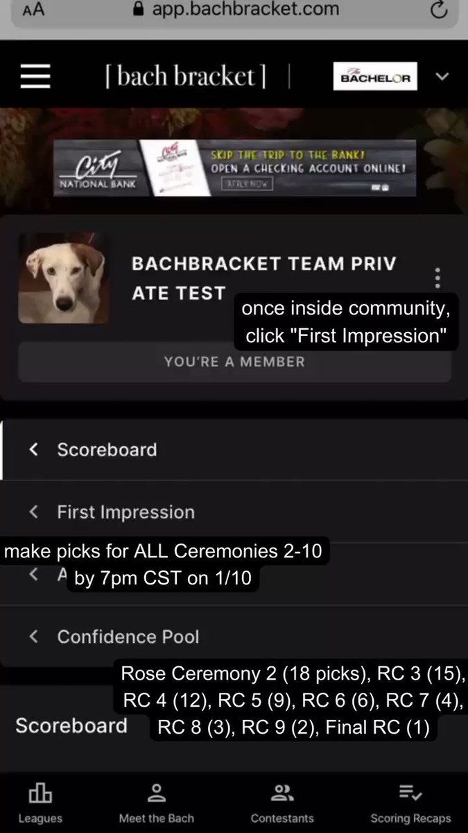 bach bracket bach bracket